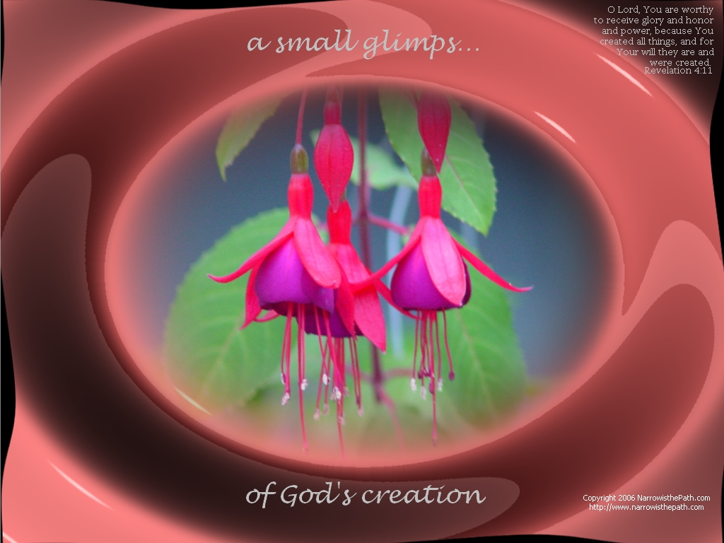 Free Christian Wallpaper: "Glimps of Creation..."
